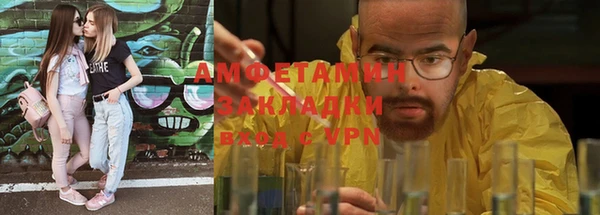 индика Заводоуковск