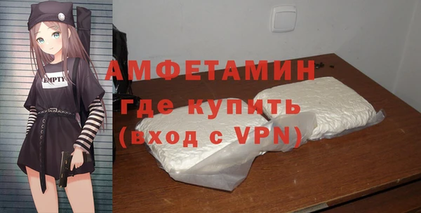 индика Заводоуковск