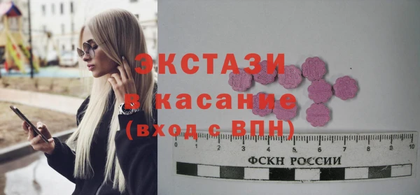 индика Заводоуковск