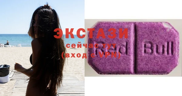 индика Заводоуковск