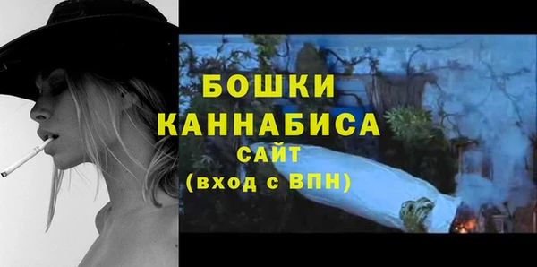индика Заводоуковск