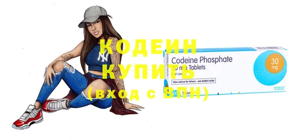 индика Заводоуковск
