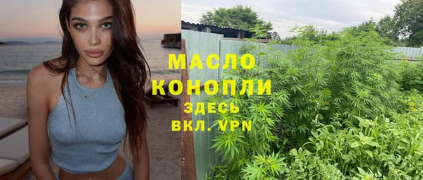 индика Заводоуковск