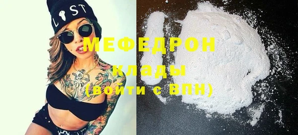 индика Заводоуковск