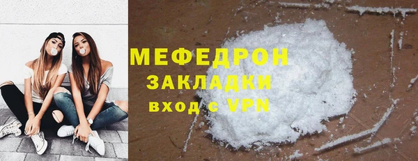 индика Заводоуковск