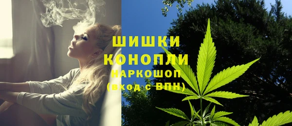 индика Заводоуковск