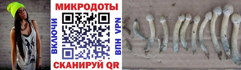 Псилоцибиновые грибы GOLDEN TEACHER  Плёс 
